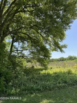 Unzoned Land in Scott, LA