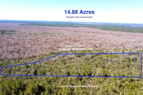 Secluded Acreage Surrounded by Greenway