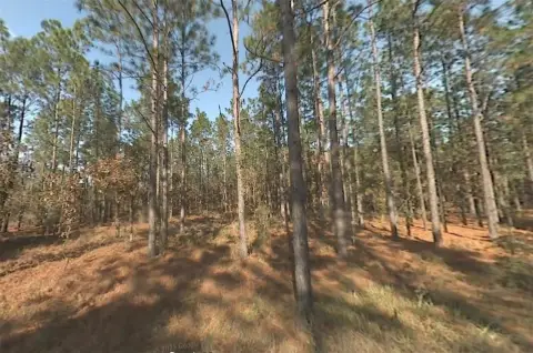 Spacious Lot in Dunnellon, FL