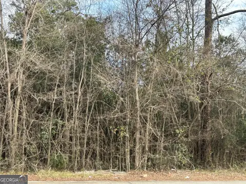 Residential Lot in Macon, GA