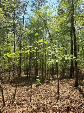 Land Adjoining National Forest