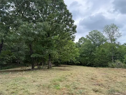 Ozarks Timber Hunting and Recreation Land