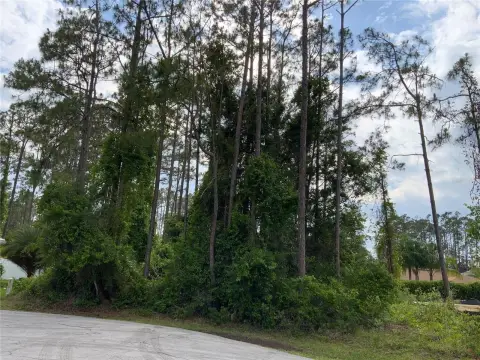 Vacant Lot in Palm Coast