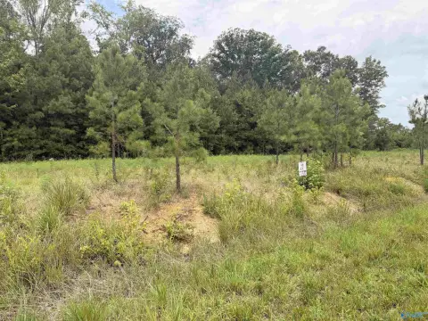 Residential Land Lot with Acres