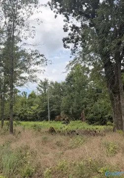 Agricultural Land for Sale