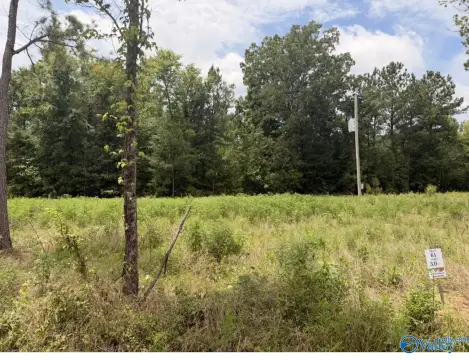 Residential Home Lot Land