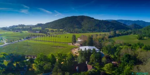 Vineyard Estate with Winery