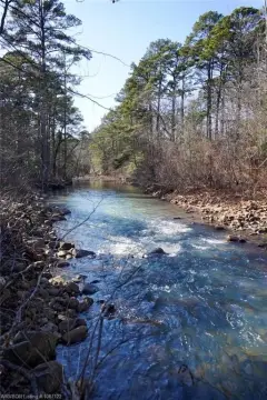 40 Acres Bordering National Forest