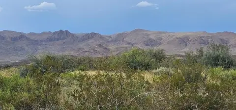 Terlingua Ranch Land with Views