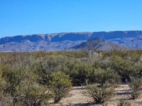 Terlingua Ranch Land For Sale