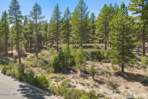 Montreux Treed Homesite Opportunity