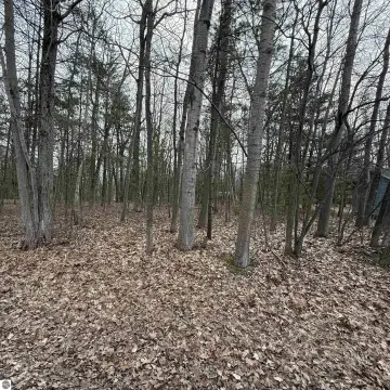 Lake Huron Buildable Lots