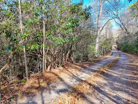 Wooded Lot in Cowee Community