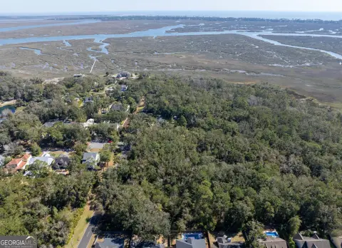 St. Simons Island Buildable Land