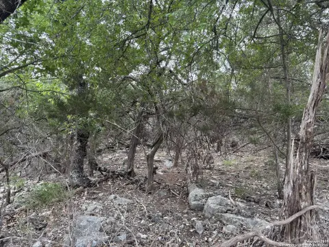 New Braunfels Homesite in Vintage Oaks