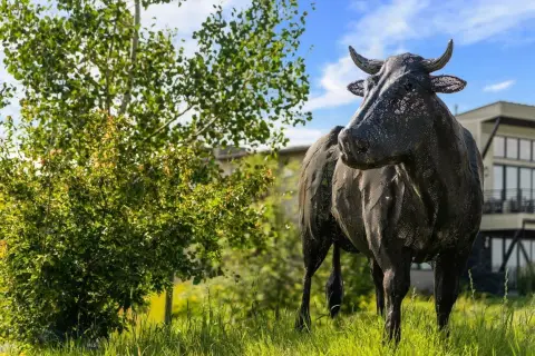 Waterfront Lot in Black Bull