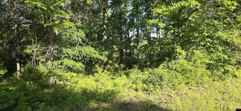 Vacant Lot Near Bull Shoals