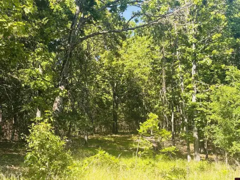 2.5 Acre Wooded Lake Property