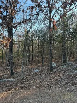 20 Acres of Oklahoma Land