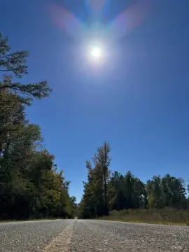 Timber and Hunting Land Tract