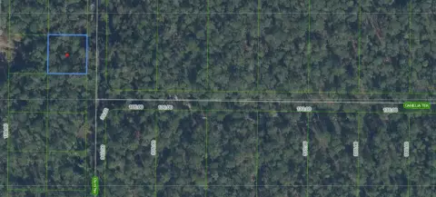 Residential Lot in Sebring, FL