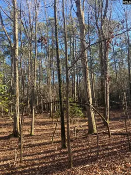 General Commercial Land with Paved Frontage