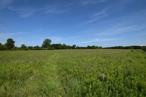 Orchard and Tillable Farmland Parcel