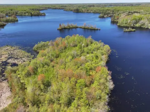 Waterfront Hunting Land