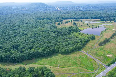 Recreation Land with Road Frontage