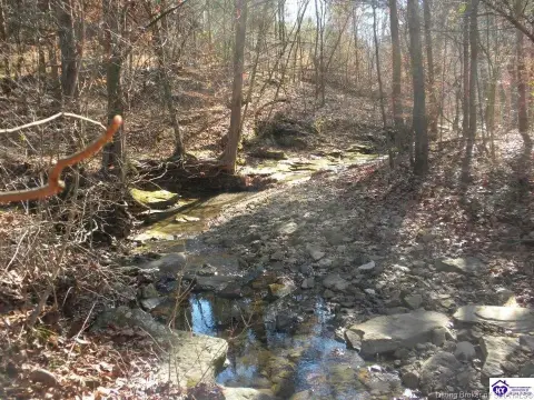Recreation Land with Creek