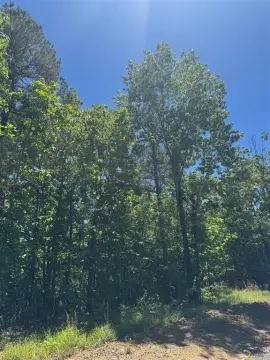 Residential Wooded Land Tract