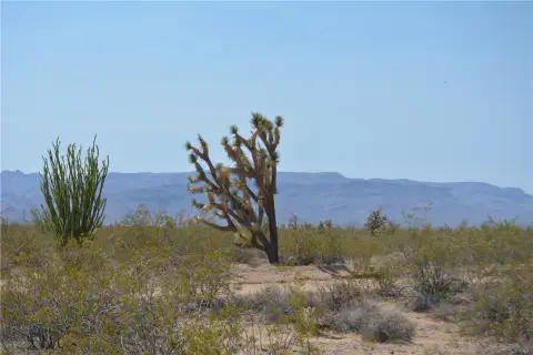 Land in Yucca, Arizona