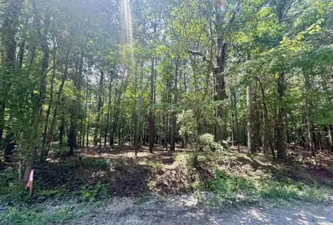 Lake-Access Recreational Lots