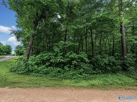 Seasonal Waterfront Land Lot