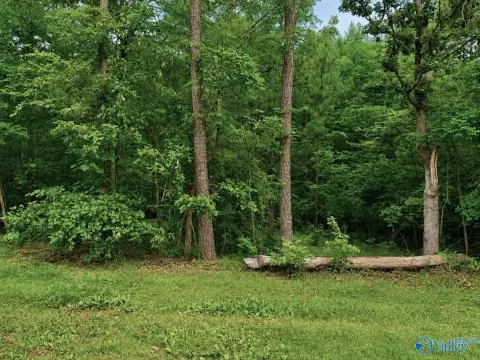 Wooded Seasonal Waterfront Lot