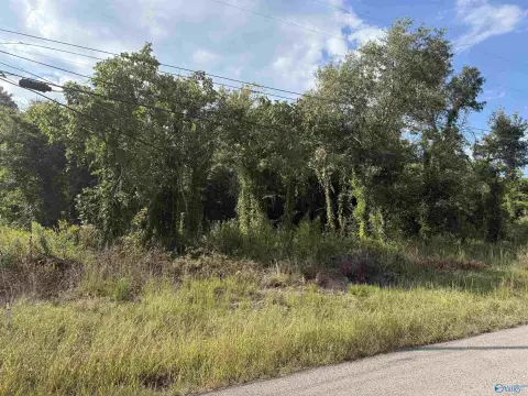 Unrestricted Acreage in Etowah County
