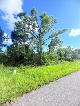 Vacant Land in Port Charlotte