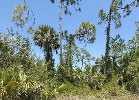North Port Vacant Land Opportunity