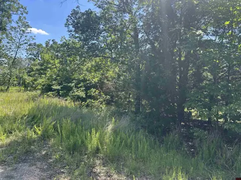 Two Acres Wooded Land