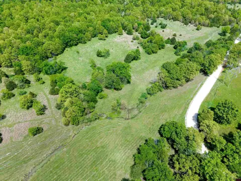 Undeveloped Land with Hunting Potential