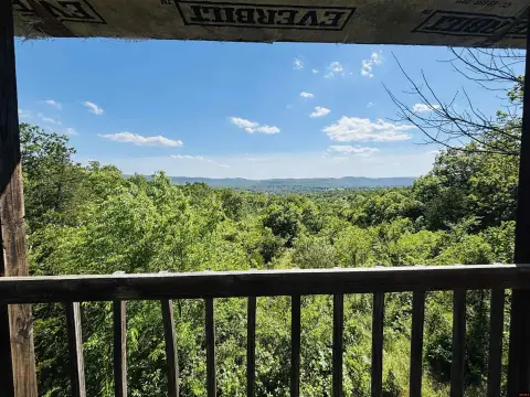 Marion County Acreage with Potential