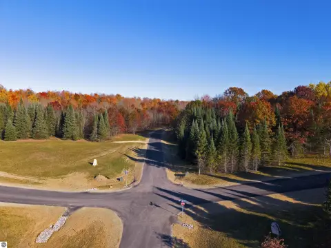 Wooded Land Near Fife Lake