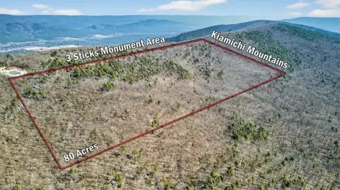 80 Acres Bordering National Forest