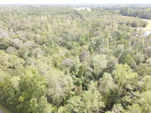 Large Lot Near Loris