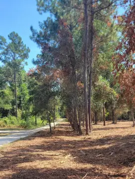 Commercial Land in Crawfordville, FL