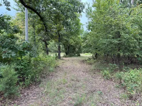 Hunting Land with Cypress Creek