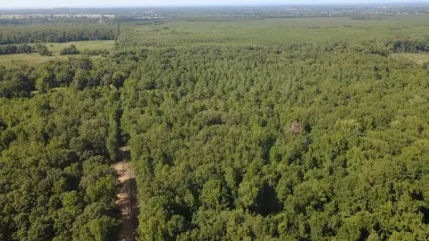 Hunting Land with Wet-Weather Creek