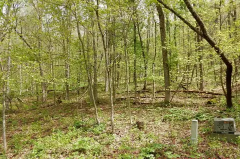 Homestead Preserve Building Lot