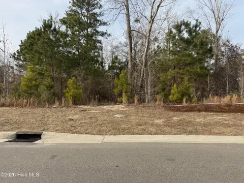 Residential Lot in Coastal Community