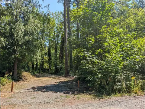 Recreation Land Lot with Gravel Driveway